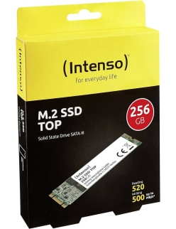 SSD M.2 256GB INTENSO TOP PERFORMANCE